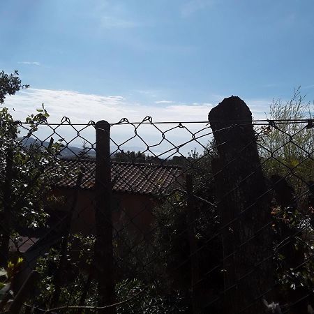 Villetta A Schiera Nei Pressi Del Mare ลีวอร์โน ภายนอก รูปภาพ